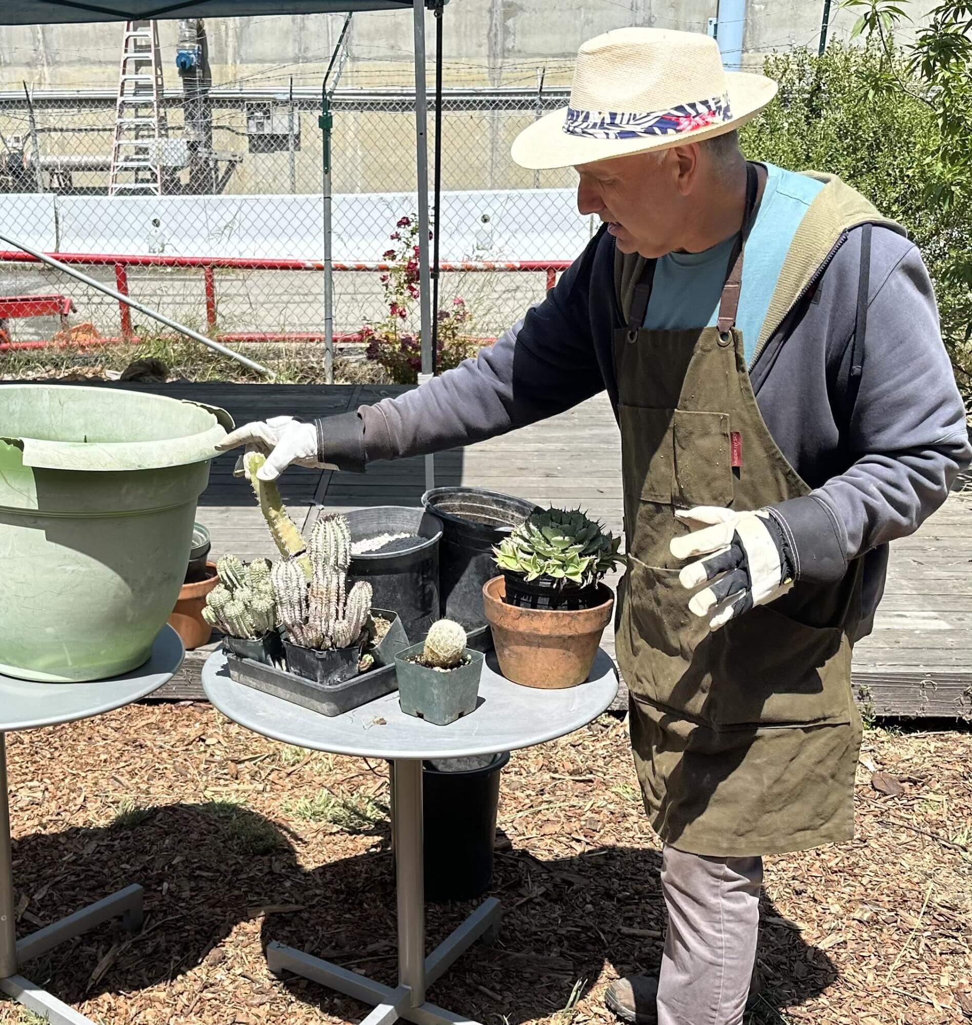 Plant Potting Demonstration